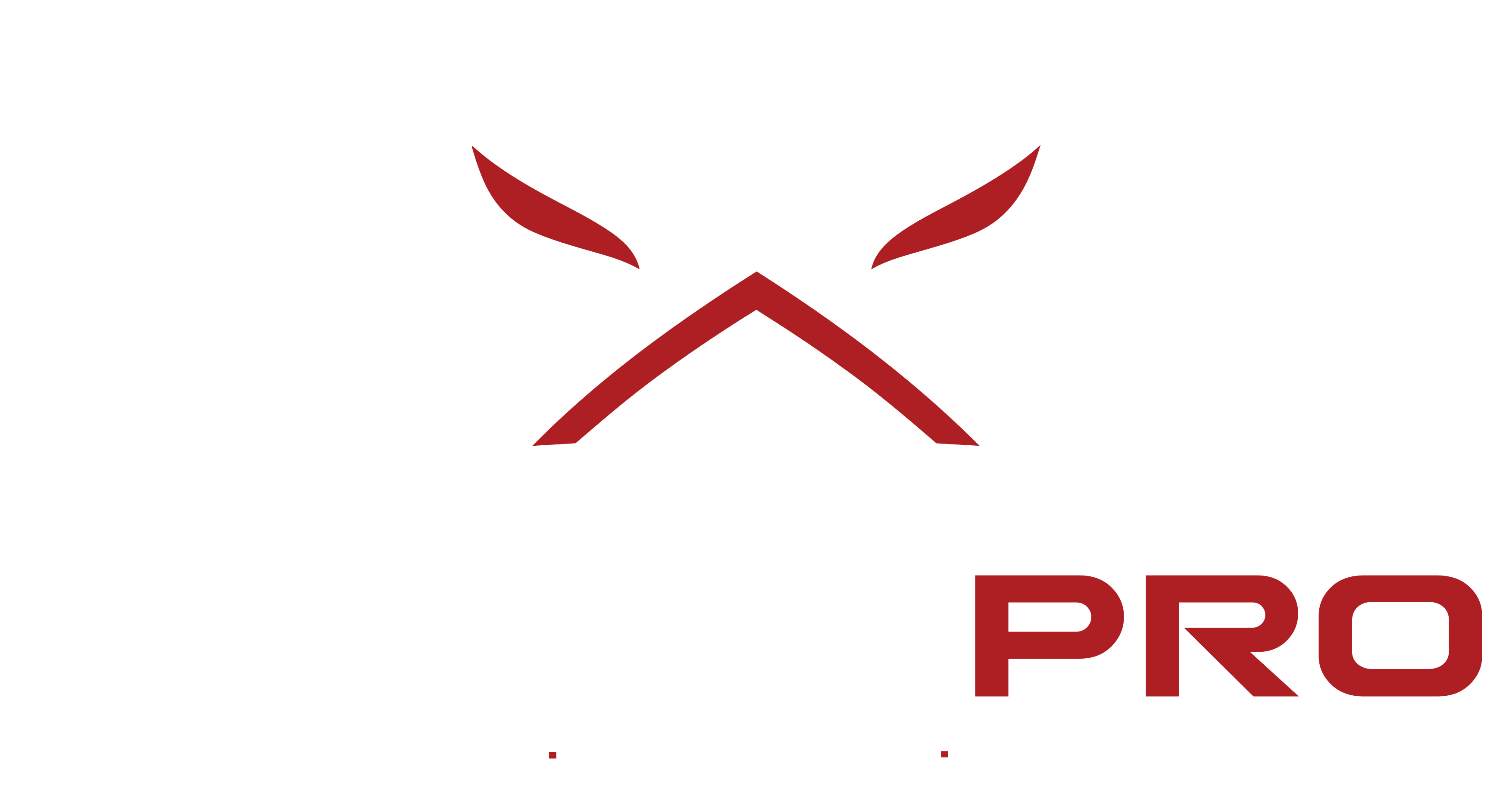 Roofix logo